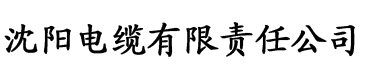 乐可原文车电缆厂logo